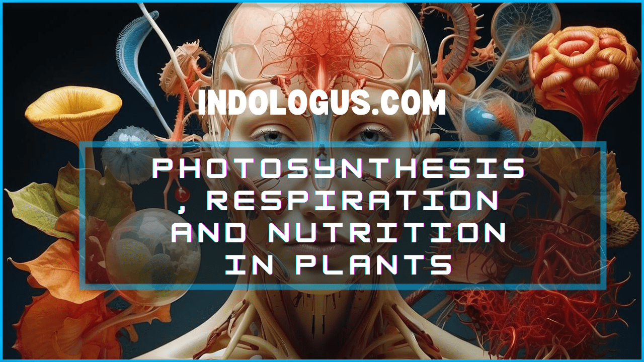 Photosynthesis, Respiration and Nutrition in Plants