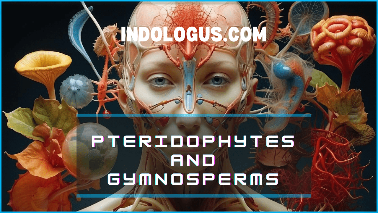 Pteridophytes and Gymnosperms