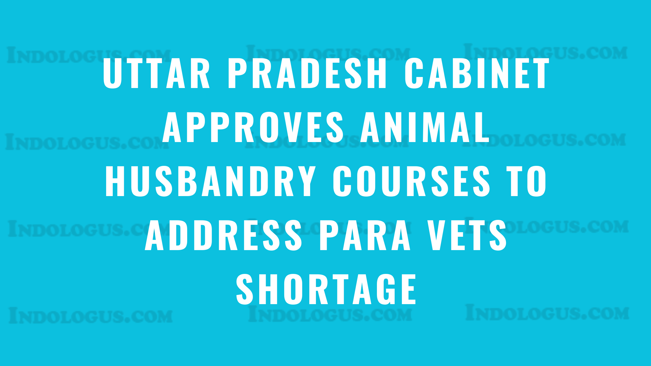 Uttar Pradesh Cabinet Approves Animal Husbandry Courses to Address Para Vets Shortage