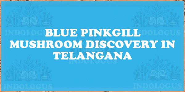 Blue Pinkgill Mushroom Discovery in Telangana