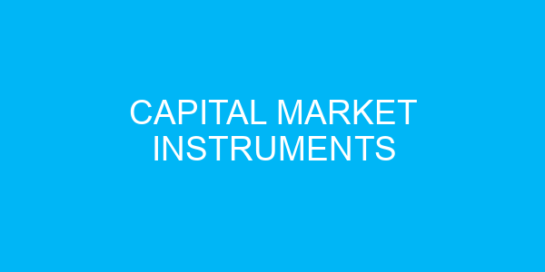 Capital Market Instruments