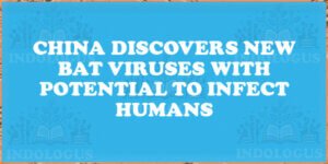 China Discovers New Bat Viruses with Potential to Infect Humans