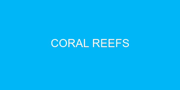 Coral Reefs