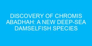 Discovery of Chromis Abadhah: A New Deep-Sea Damselfish Species
