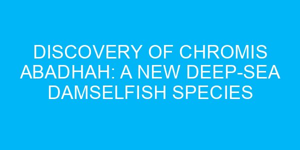 Discovery of Chromis Abadhah: A New Deep-Sea Damselfish Species