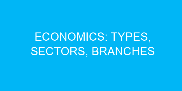 Economics: Types, Sectors, Branches