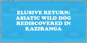 Elusive Return: Asiatic Wild Dog Rediscovered in Kaziranga