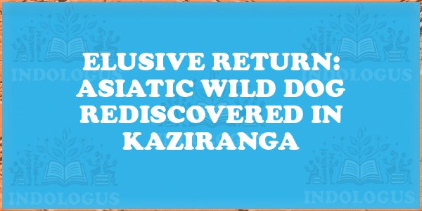 Elusive Return: Asiatic Wild Dog Rediscovered in Kaziranga
