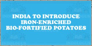 India to Introduce Iron-Enriched Bio-Fortified Potatoes