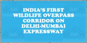 India’s First Wildlife Overpass Corridor on Delhi-Mumbai Expressway