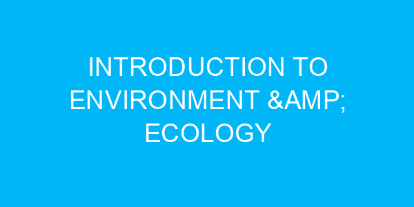 Introduction to Environment & Ecology