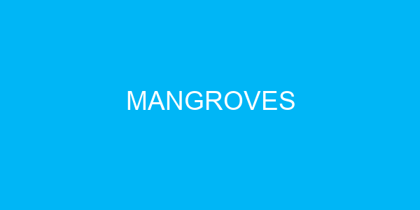 Mangroves