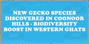 New Gecko Species Discovered in Coonoor Hills - Biodiversity Boost in Western Ghats