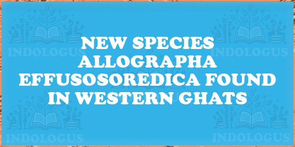 New Species Allographa effusosoredica Found in Western Ghats