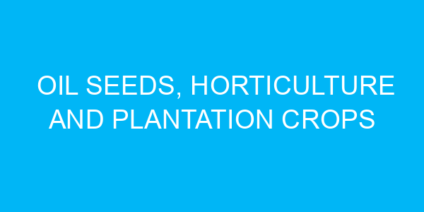 Oil Seeds, Horticulture and Plantation Crops