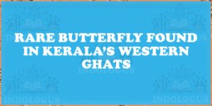 Rare Butterfly Found in Kerala’s Western Ghats