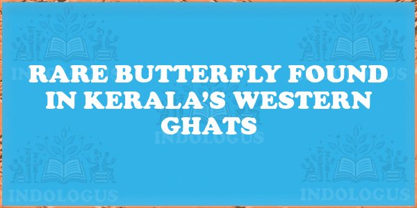 Rare Butterfly Found in Kerala’s Western Ghats