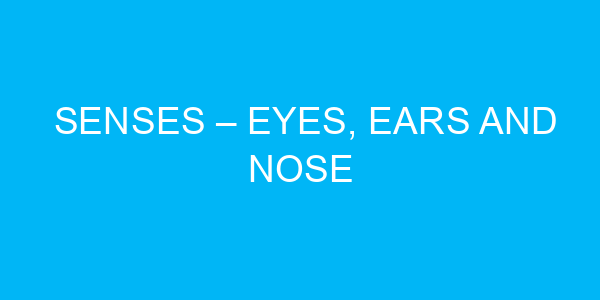 Senses – Eyes, Ears and Nose