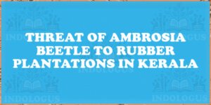 Threat of Ambrosia Beetle to Rubber Plantations in Kerala