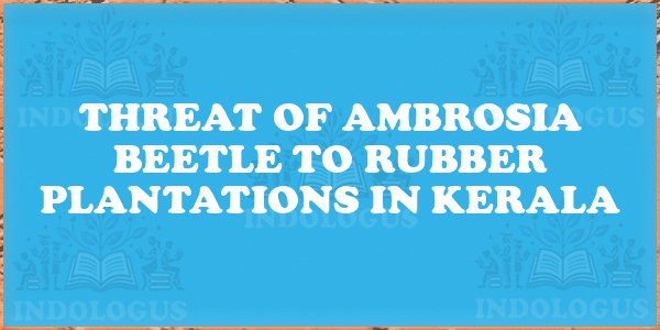 Threat of Ambrosia Beetle to Rubber Plantations in Kerala