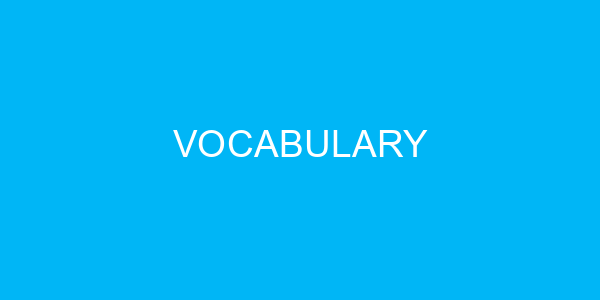 Vocabulary